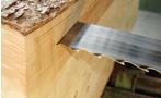 compact-resch-stammanschnitt-160