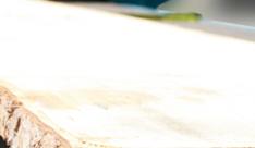 banner_1