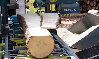 brettabwerfer-holzservice-web